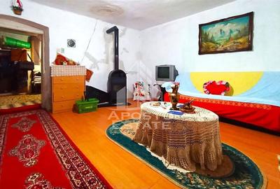 Casă cu 4 camere cu Teren 996 Mp în Dudeștii Noi - 8