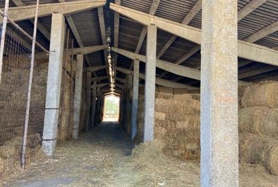 Proprietate specială, de 370,000 mp, în Cotorca - 6
