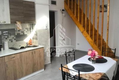 Apartament cu 2 camere decomandat, mobilat în Șagului - 4