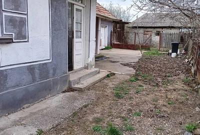 Casă cu Teren 1439 Mp în Chișlaz - 4