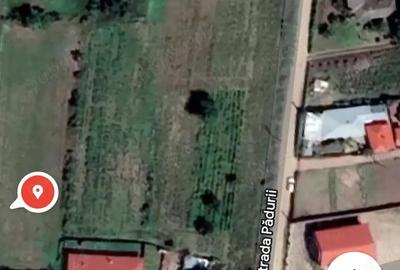 Teren de 5807 mp, în Munteni