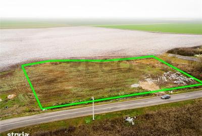 Teren de 5000 mp, în Sânnicolau Român - 2