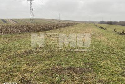Teren de 4139 mp, în Burdujeni