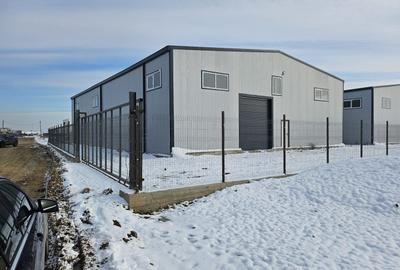 Spațiu industrial, de 500 mp, în Moara Domnească - 2