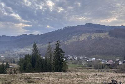 Teren de 1000 mp, în Mălini - 3