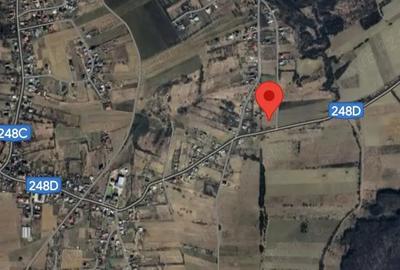Teren de 3500 mp, în Ciurea - 3