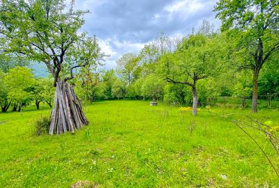 Teren agricol intravilan de 1500 mp, în Bran - 7