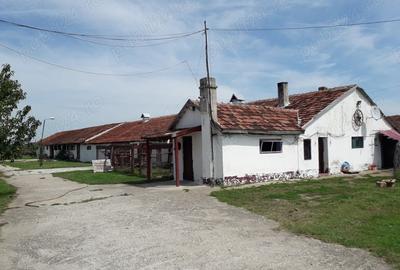 Spațiu comercial, de 800 mp, în Gai - 1