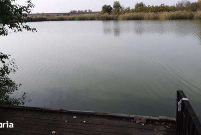 Teren de 4300 mp, în Drăgoești - 4
