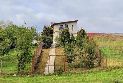 Casă individuală cu 4 camere cu Canalizare în Turnișor - 3