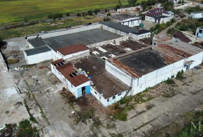 Spațiu industrial, de 3,352 mp, în Salonta - 4