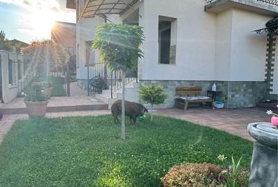 Casă cu 3 camere în Sigmir - 3