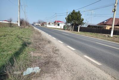 Teren de 5000 mp, în Frumușani - 16