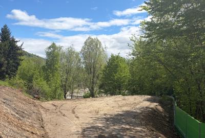 Spațiu comercial, în Valea Doftanei - 3
