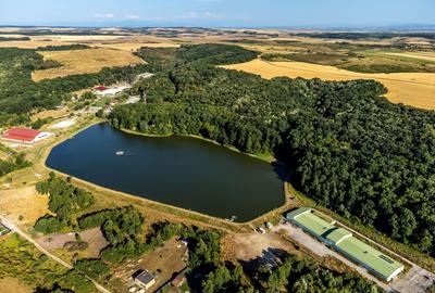 Teren agricol extravilan de 125077 mp, în Herneacova - 6