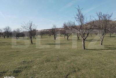Spațiu comercial, în Aninoasa - 5