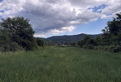 Teren de 5000 mp, în Pârscov - 4