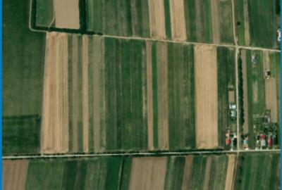 Teren agricol extravilan de 6700 mp, în Vlădeni