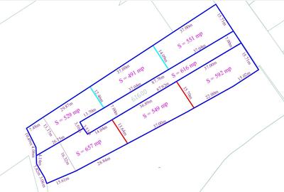 Teren Construcții intravilan de 4000 mp, în Rusenii Vechi - 2