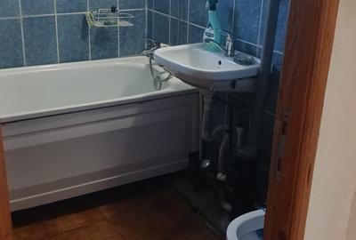 Apartament cu 2 camere semidecomandat, mobilat în Dacia - 7