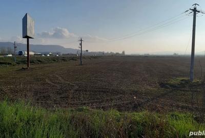 Teren de 500 mp, în Central