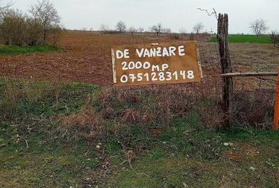 Teren de 2000 mp, în Curtișoara - 3