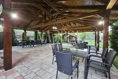 Casă individuală cu 19 camere cu Teren 9669 Mp în Mărgău - 6