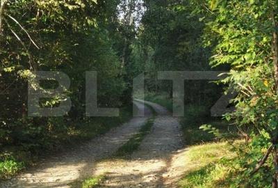 Teren de 3300 mp, în Central