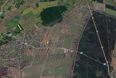 Teren de 4219 mp, în Săbăreni