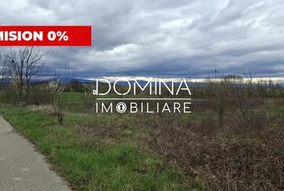 Teren de 20386 mp, în Câlnic - 1