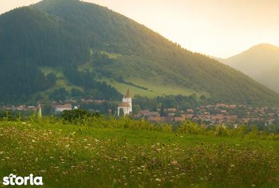 Teren de 3000 mp, în Rășinari