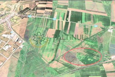Teren agricol extravilan de 10470 mp, în Șura Mică - 2