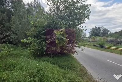 Teren în Telega