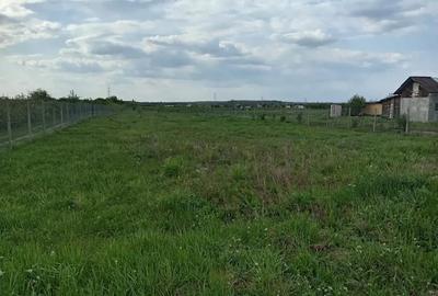 Teren de 1000 mp, în Priseaca - 3