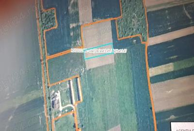 Teren de 4500 mp, în Ianova - 2