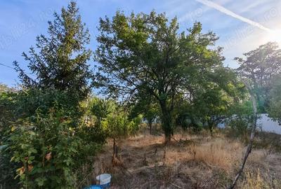 Teren de 1030 mp, în Chiroiu-Pământeni - 1