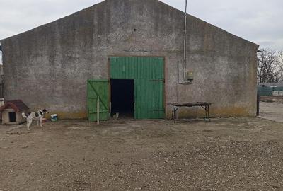 Spațiu comercial, de 480 mp, în Siliștea - 2