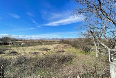 Teren de 2887 mp, în Barza - 1