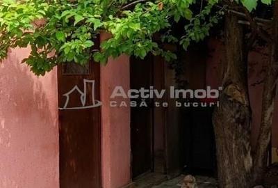 Casă cu 8 camere cu Teren 232 Mp în Ferentari