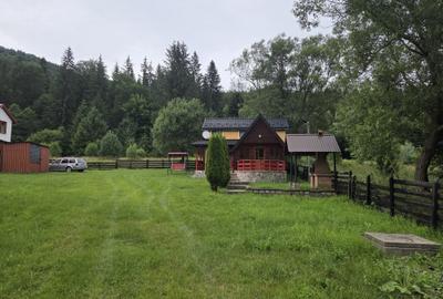 Casă cu 3 camere în Greșu