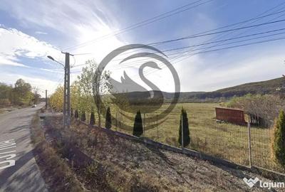 Teren de 26908 mp, în Iedera - 4