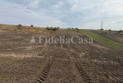 Teren de 7600 mp, în Cuza Vodă
