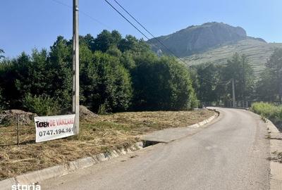 Teren de 700 mp, în Livezile - 6