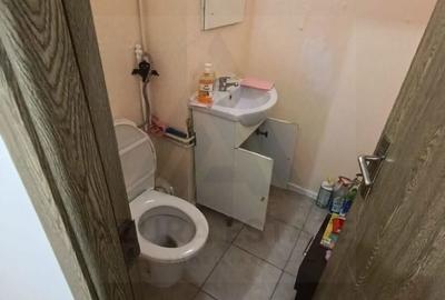 Apartament cu 3 camere decomandat în Gura Râului - 13