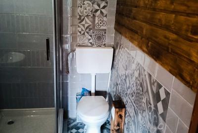 Casă cu 2 camere în Arieșeni - 6