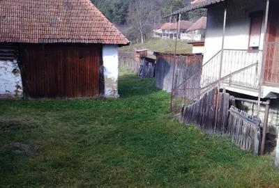 Casă cu 3 camere cu Teren 1500 Mp în Morlaca - 6
