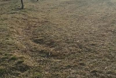 Teren de 3600 mp, în Isverna - 3