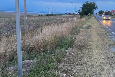 Teren de 12500 mp, în Central