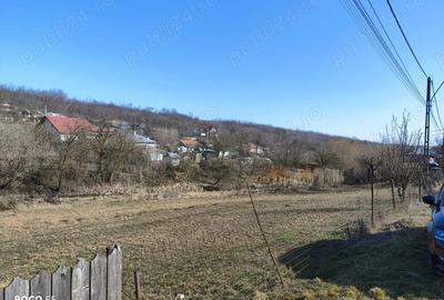 Teren de 1260 mp, în Rusenii Vechi - 7