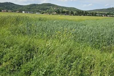 Teren de 2600 mp, în Central
